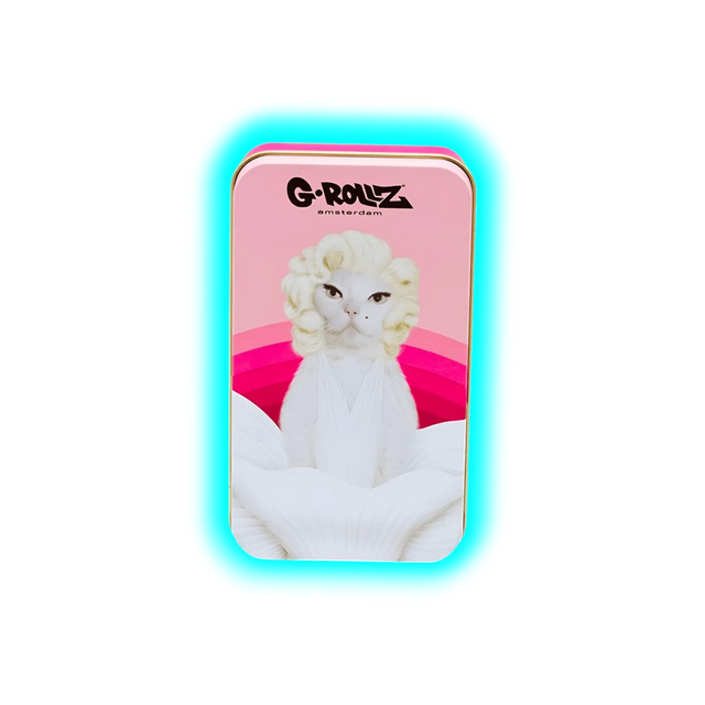 G-Rollz | Pets Rock Emily Storage Box Medium 11.5x6.5x2.3cm