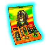 G-Rollz Pets Rock Gift Box S Reggae