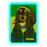 G-Rollz Pets Rock Reggae Smellproof Bags 100 x 150mm 50pcs