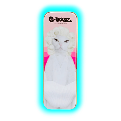 G-Rollz Pets Rock Storage Box Diamond S 12 x 4 x 2.5cm