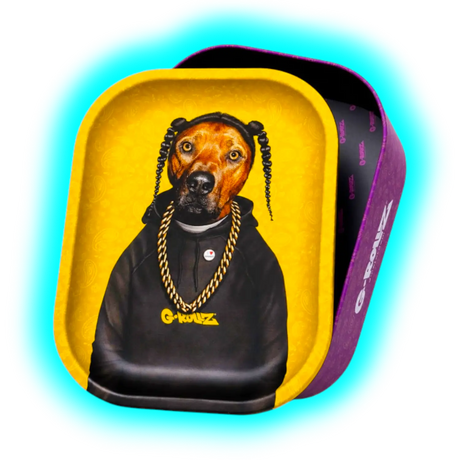G-Rollz Storage Box With Rolling Tray Lid Medium Pets Rock Rap