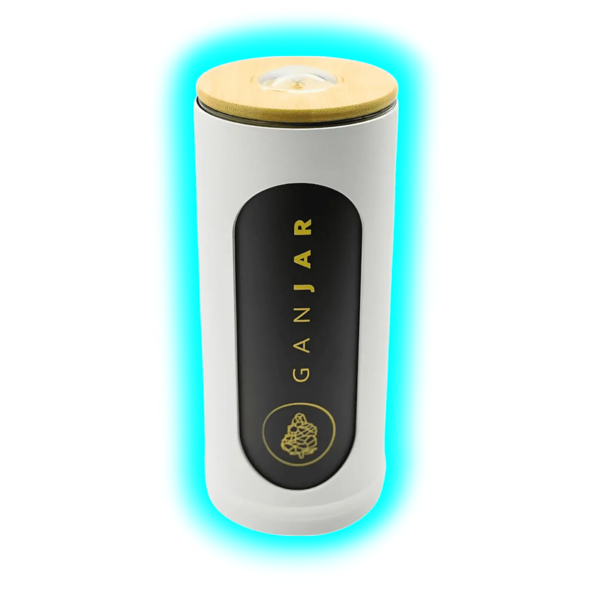 Ganjar F Pure White