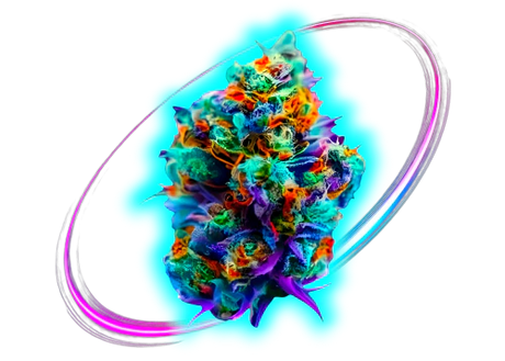 Übersicht verschiedener CBD Hanfblüten in unterschiedlichen Sorten