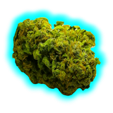 Nahaufnahme eines kompakten CBD-Blütenknospen mit sichtbaren Trichomen und feinen Härchen