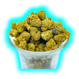 Hempy Harlequin Tsunami Indoor Small Buds 3.0 25gr