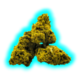 Nahaufnahme von drei kleinen, kompakten CBD-Hanfblüten mit sichtbaren Trichomen