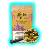 Nahaufnahme: Blueberry Muffin CBD. Design mit integrierter Lupen-Grafik, die Mini Buds von Herba di Berna vergrößert.