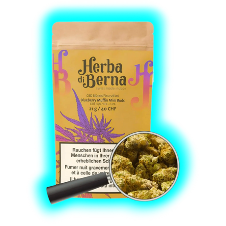 Nahaufnahme: Blueberry Muffin CBD. Design mit integrierter Lupen-Grafik, die Mini Buds von Herba di Berna vergrößert.