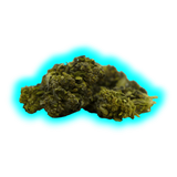 Nahaufnahme von mehreren getrockneten Cannabisblüten der Sorte Mango Haze