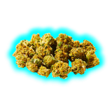 Herba di Berna Purple Punch Mini Buds 21g Indoor CBD Blüten Nahaufnahme der Blütenstruktur