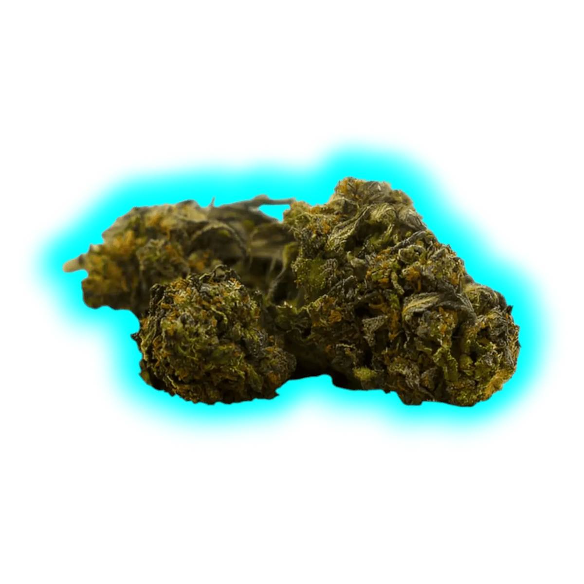 Nahaufnahme von drei getrockneten CBD-Blüten mit unregelmäßiger, kompakter Form