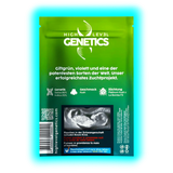 Grüne Verpackung mit dem Schriftzug 'HIGH LEVEL GENETICS' und Beschreibung einer starken Cannabissorte mit Genetikangabe, Geschmack und Züchtung, inklusive Warnhinweis mit Ultraschallbild zur Schädlichkeit des Rauchens in der Schwangerschaft.