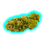 High Level Genetics Seeds Shiny Flake 3pcs fem