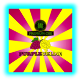 Nahaufnahme: Purplecello-Label. Dynamische Strahlen in Gelb-Rot hinter Trauben- und Zitronen-Icons unter dem Logo ‚PREMIUM CBD‘