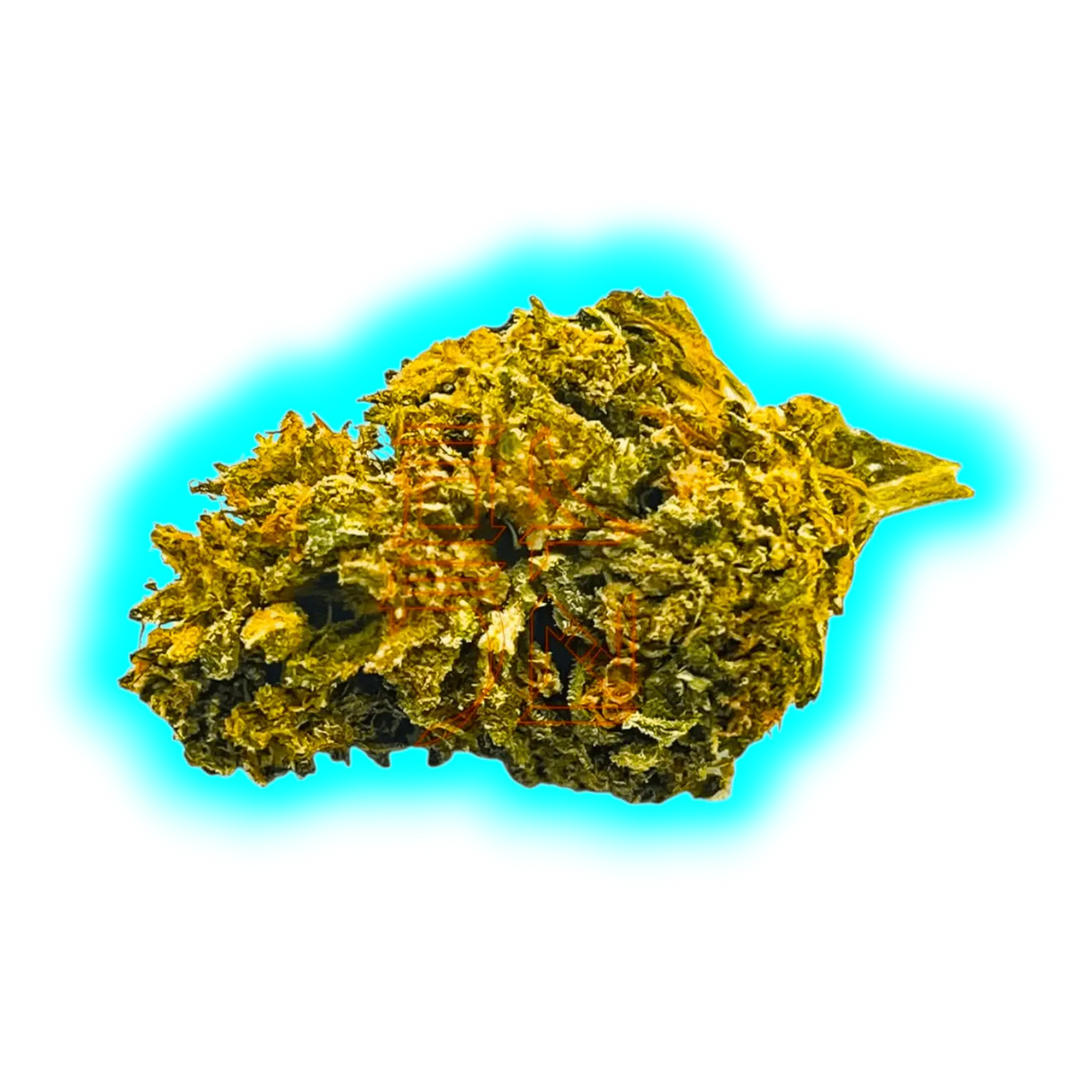 Nahaufnahme eines getrockneten Cannabisblütenkopfs mit sichtbaren Trichomen und Blättern