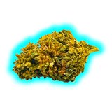 Nahaufnahme eines getrockneten Cannabisblütenkopfs mit sichtbaren Trichomen und Blättern