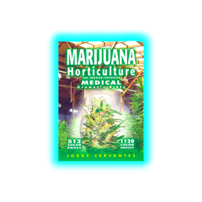 Marijuana Indoor Holticure Italiano