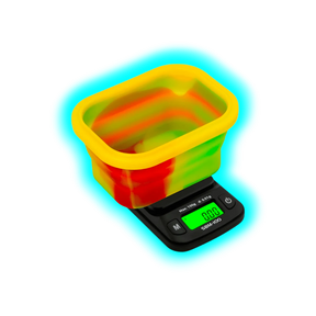 On Balance Scale SBM 100 Rasta