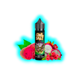 Flasche mit Aufschrift 'OWL SALT CACTUS DRAGON RAZZ' vor Kaktusfeigen, Drachenfrucht und Himbeeren
