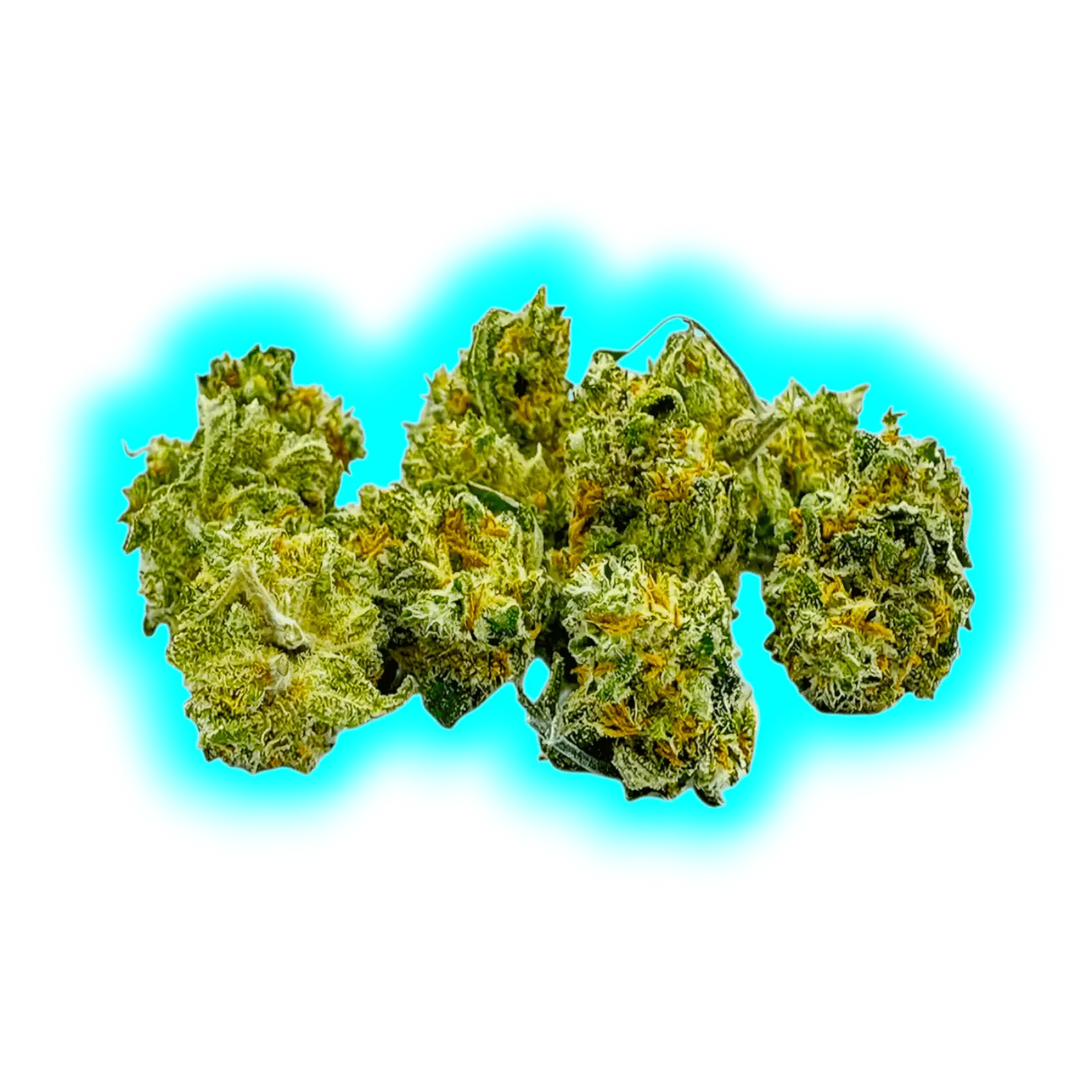 Paradise Weeds Ma Précieuse Indoor 13g
