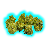 Paradise Weeds Ma Précieuse Indoor 13g