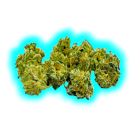 Paradise Weeds Ma Précieuse Indoor 13g