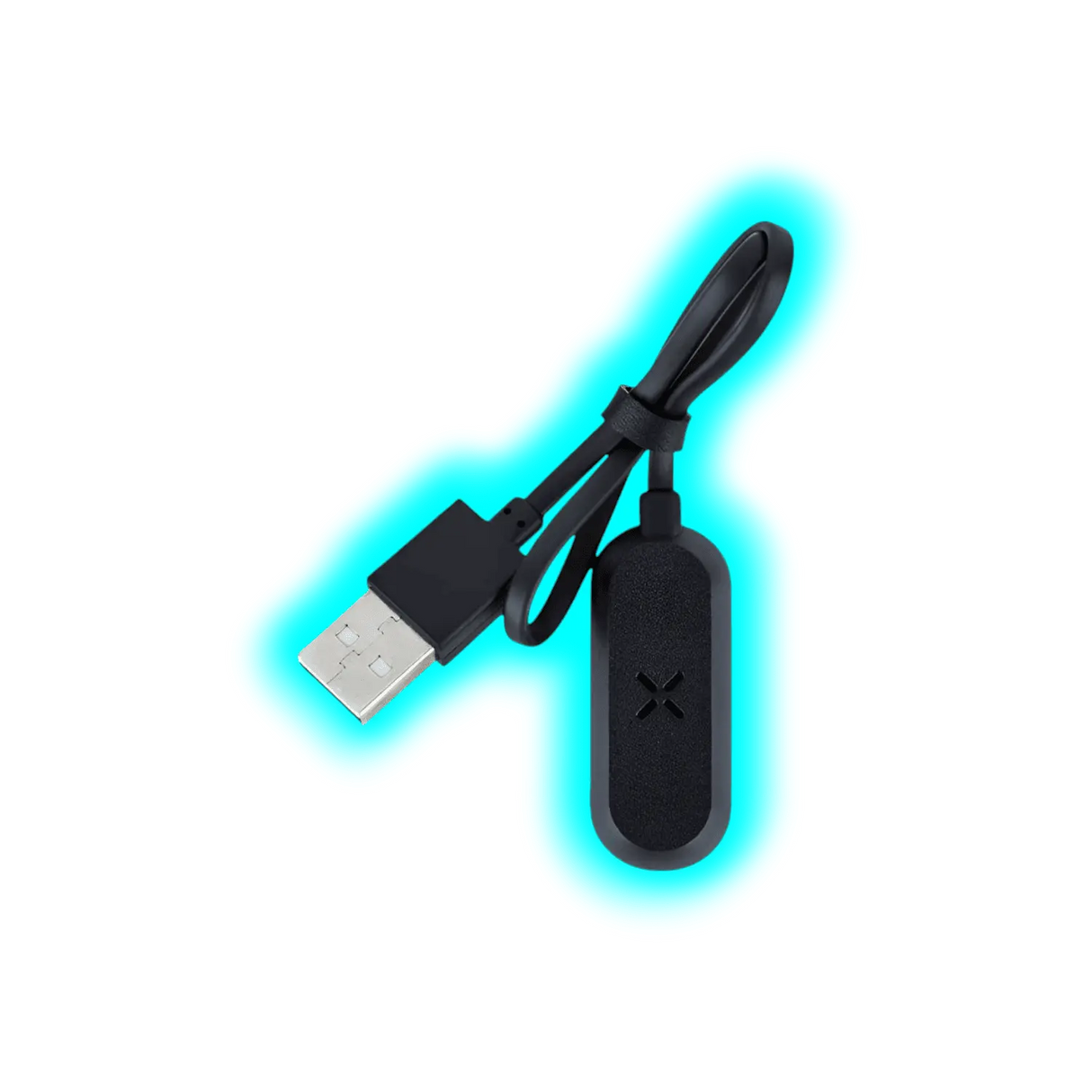 PAX Mini Charger