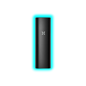 PAX Mini Onyx
