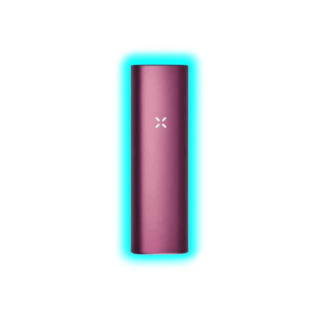 PAX Plus Complete Kit Elderberrry