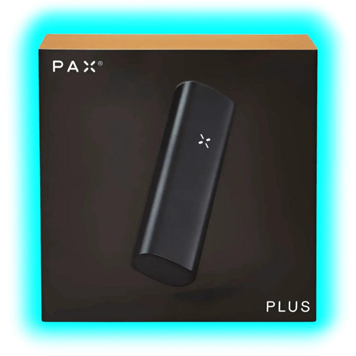 PAX Plus Complete Kit Onyx