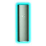PAX Plus Complete Kit Sage