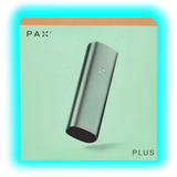 PAX Plus Complete Kit Sage