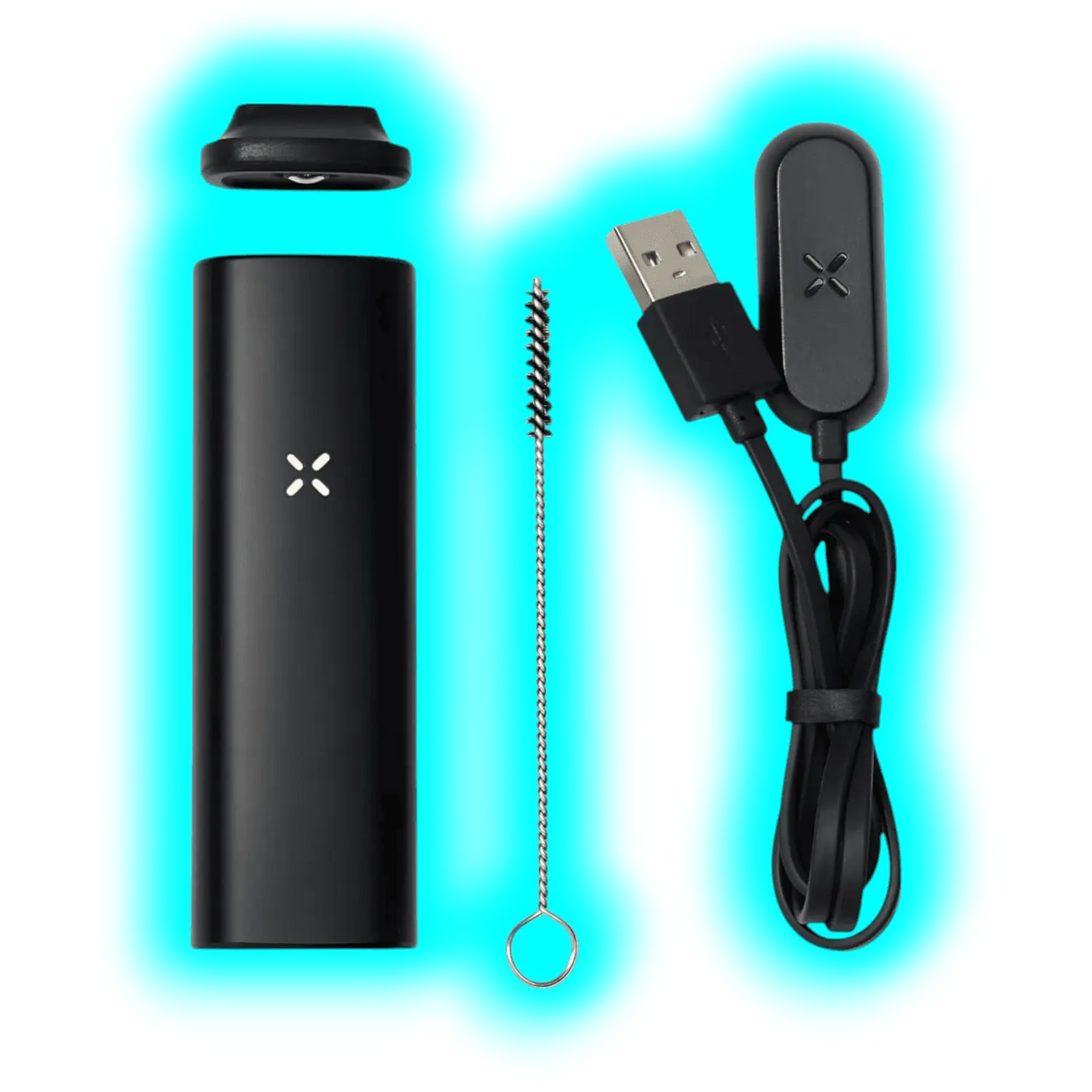 PAX Plus Starter Kit Onyx