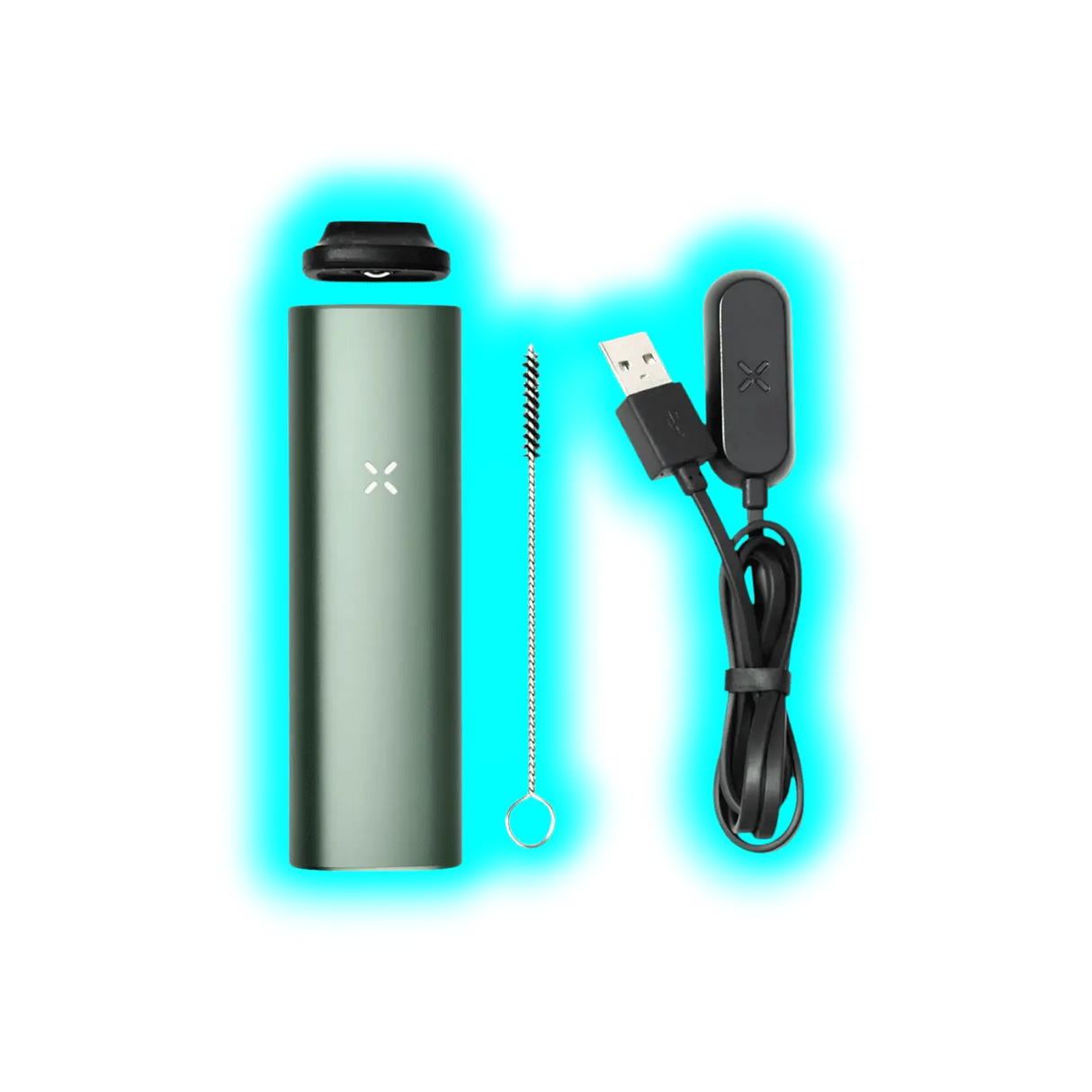 PAX Plus Starter Kit Sage