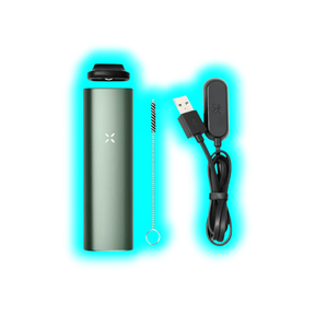 PAX Plus Starter Kit Sage