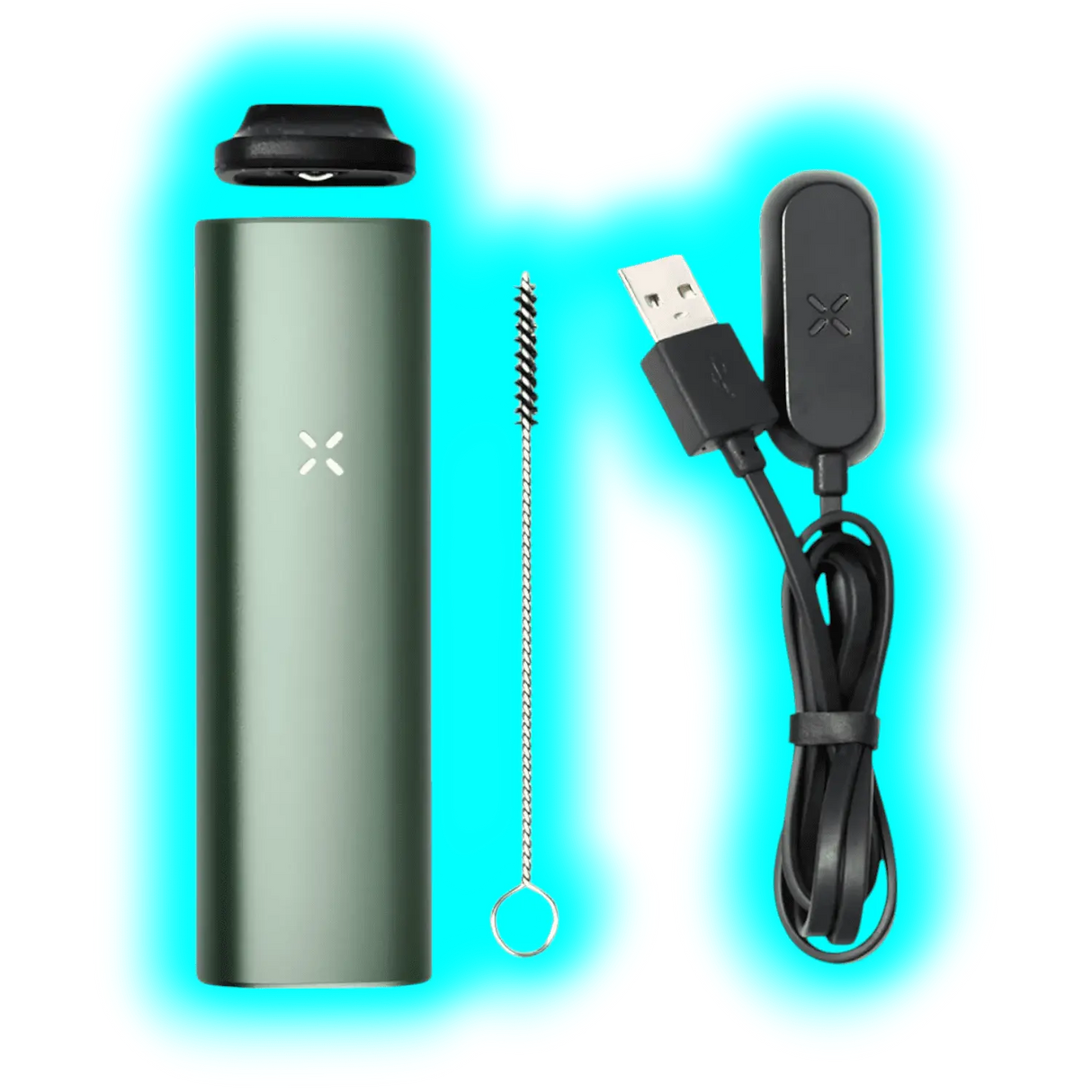 PAX Plus Starter Kit Sage