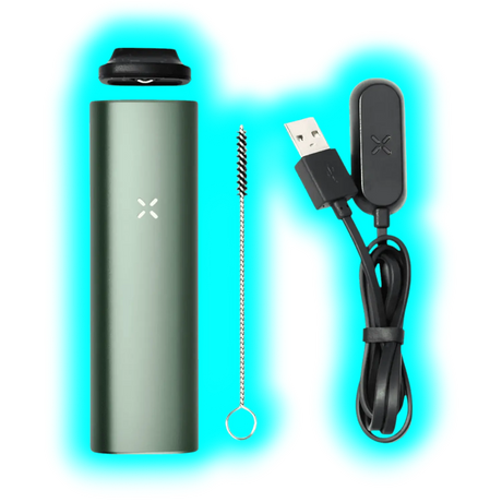 PAX Plus Starter Kit Sage