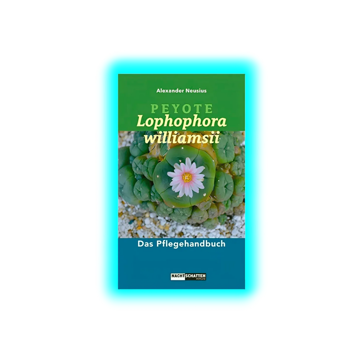 Peyote - Lophophora williamsii