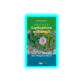 Peyote - Lophophora williamsii