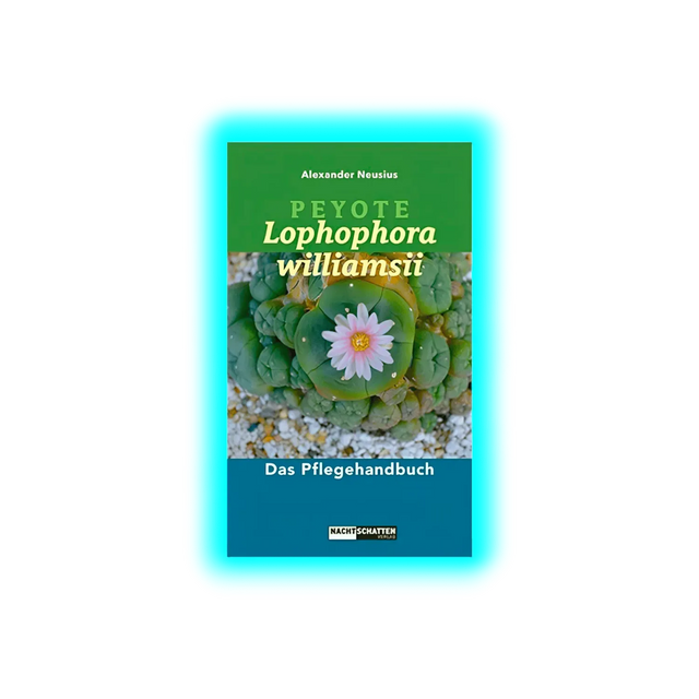 Peyote - Lophophora williamsii
