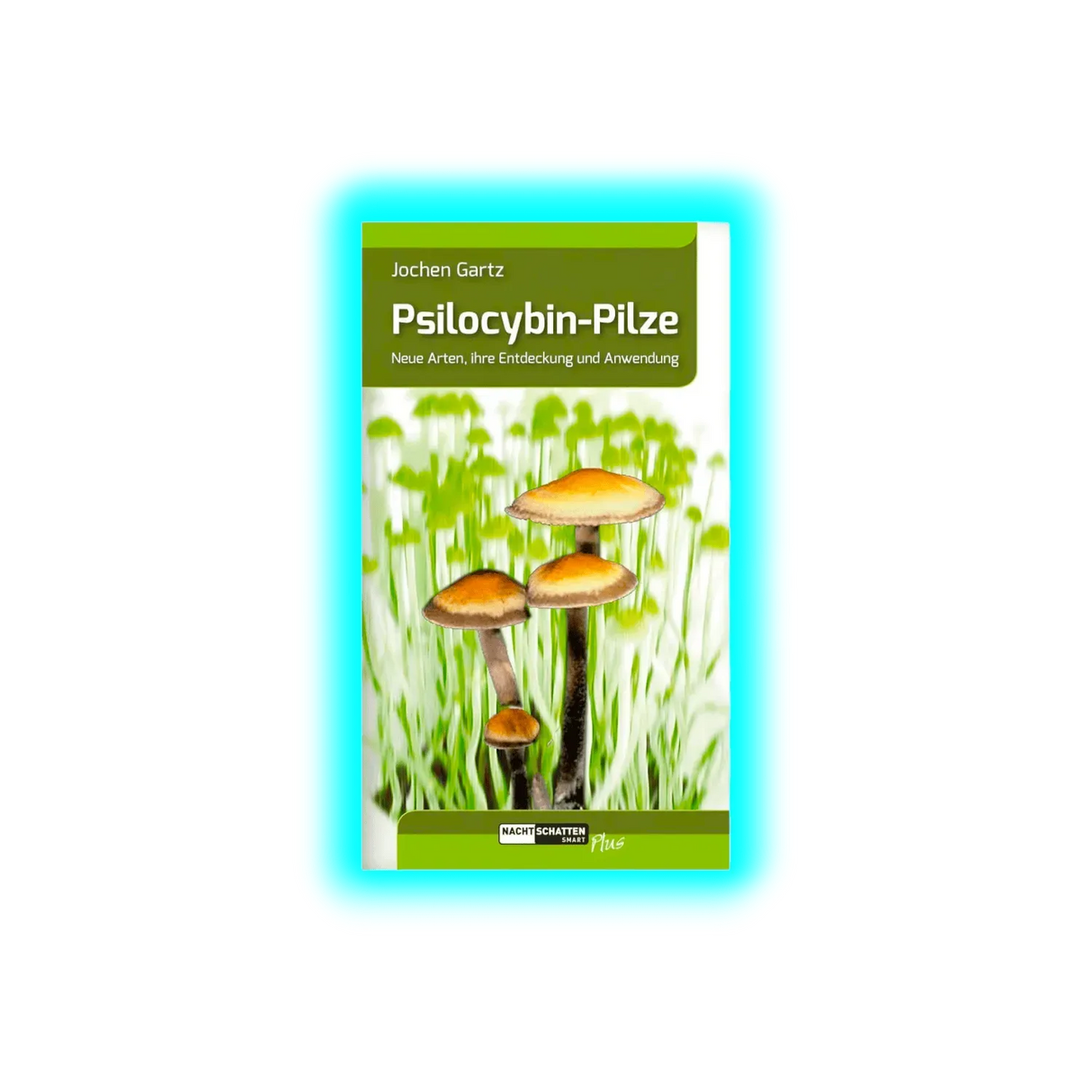 Psilocybin-Pilze