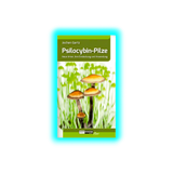 Psilocybin-Pilze