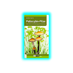 Psilocybin-Pilze