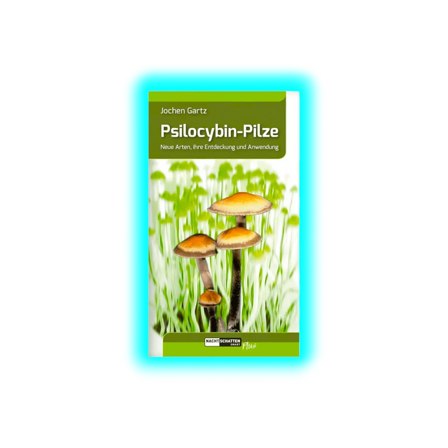 Psilocybin-Pilze