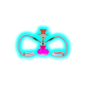 Pumpkin | Hookah 2 Tubes 24cm Pink