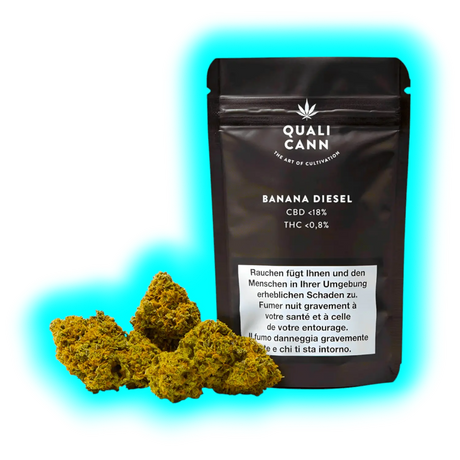 Nahaufnahme: Mehrere Cannabisblüten vor dem schwarzen ‚Banana Diesel‘-Label von Qualicann inklusive Inhaltsstoff-Werten.