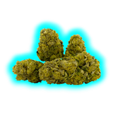 Qualicann Banana Diesel Indoor 5.5g