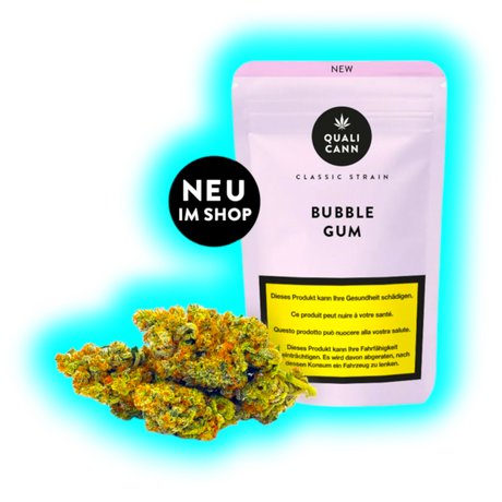 Qualicann Bubble Gum Indoor