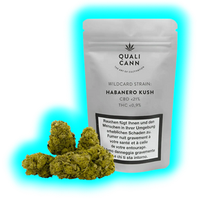 Detailansicht: Wildcard Strain Habanero Kush. Mehrere CBD-Buds präsentiert vor der Originalverpackung der Marke Qualicann.