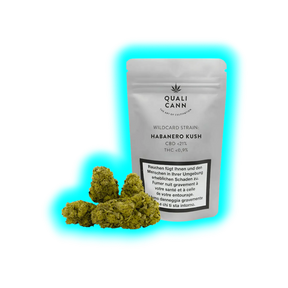 Mehrere CBD-Blüten vor dem Qualicann ‚Habanero Kush‘ Beutel. Inklusive Laborwerten (<21% CBD / <0,9% THC).